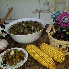 Una foto de Aceitunas al estilo campo real (la recolección)