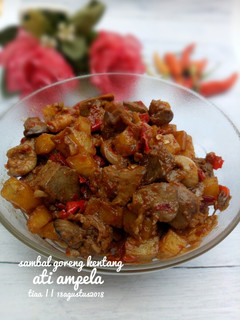 Foto resep Sambal goreng kentang ati ampela