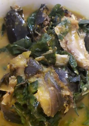A picture of Native oha soup.