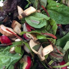 A picture of Radish and Mushroom Mixed Leaf Salad,.