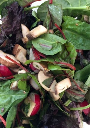 A picture of Radish and Mushroom Mixed Leaf Salad,.