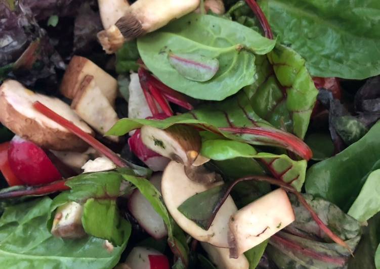Radish and Mushroom Mixed Leaf Salad,