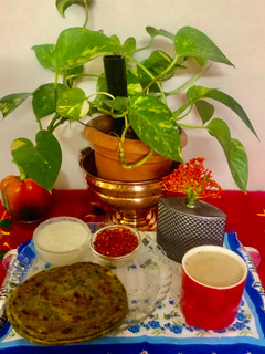 पालक पराठा (palak paratha recipe in marathi) रेसिपी चे मुख्य फोटो