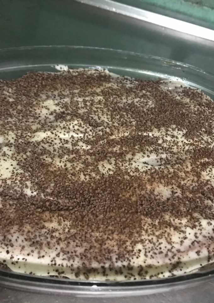 Una foto de Tiramisú