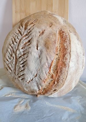 Foto di Pane con Farina 0, tipo 1 e 2