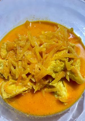 Foto resep Sayur Lodeh Pepaya Muda dan Tahu