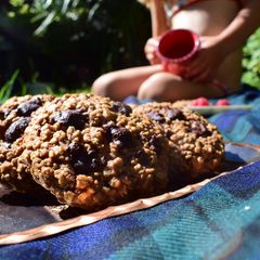 A picture of Classic Oatmeal Vegan Cookies.