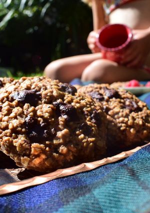 A picture of Classic Oatmeal Vegan Cookies.