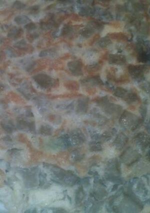 Una foto de Tortilla de nopales