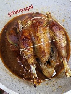 عکسی از دستور خروس محلی (سلطان😄)