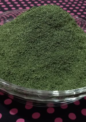 عکسی از دستور خشک کردن شوید
