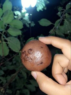 صورة لوصفة كوكيز الشكلاته