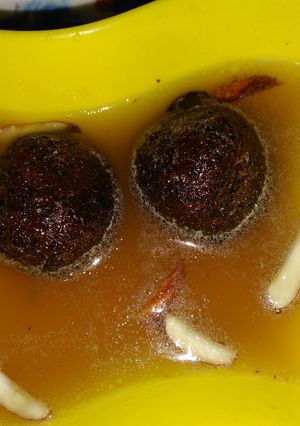 A picture of Roti Gulabjamun.