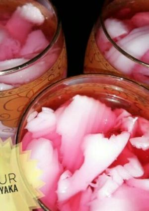 Foto resep Nutrijel Kelapa KW