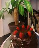 Pastel de chocolate con frutos rojos 🍓🍫