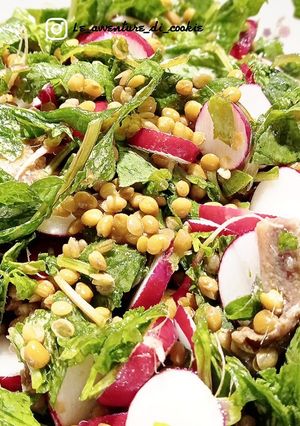 Foto di Insalata lenticchie e ravanelli