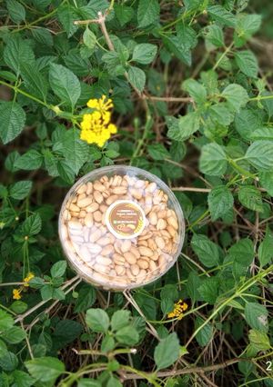 Foto resep Kacang bawang renyah dan gurih