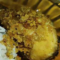 รูปของ Ayam Goreng Kremes