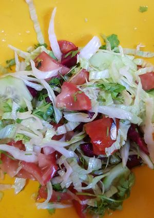 વેજી ટેબલ મીક્સ સલાડ (Vegetable Mix Salad Recipe In Gujarati) રેસીપી મુખ્ય ફોટો