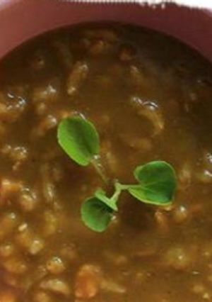Una foto de Sopita fuente de energía natural (+9 meses)