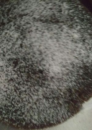 A picture of Biscuit cake.