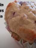 Anabolic Blueberry Muffins