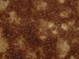 Pastel de calabaza y coco