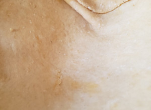Una foto de Masa de tarta salada