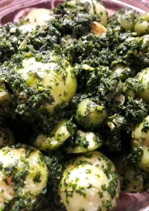 عکسی از دستور هَلی دشکن(هلی کتنی) یا فُکتنی شمالی