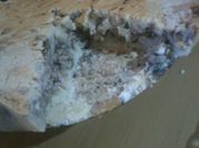 Una foto de caballa en lata recetas faciles