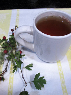 Una foto de Infusión de espino blanco