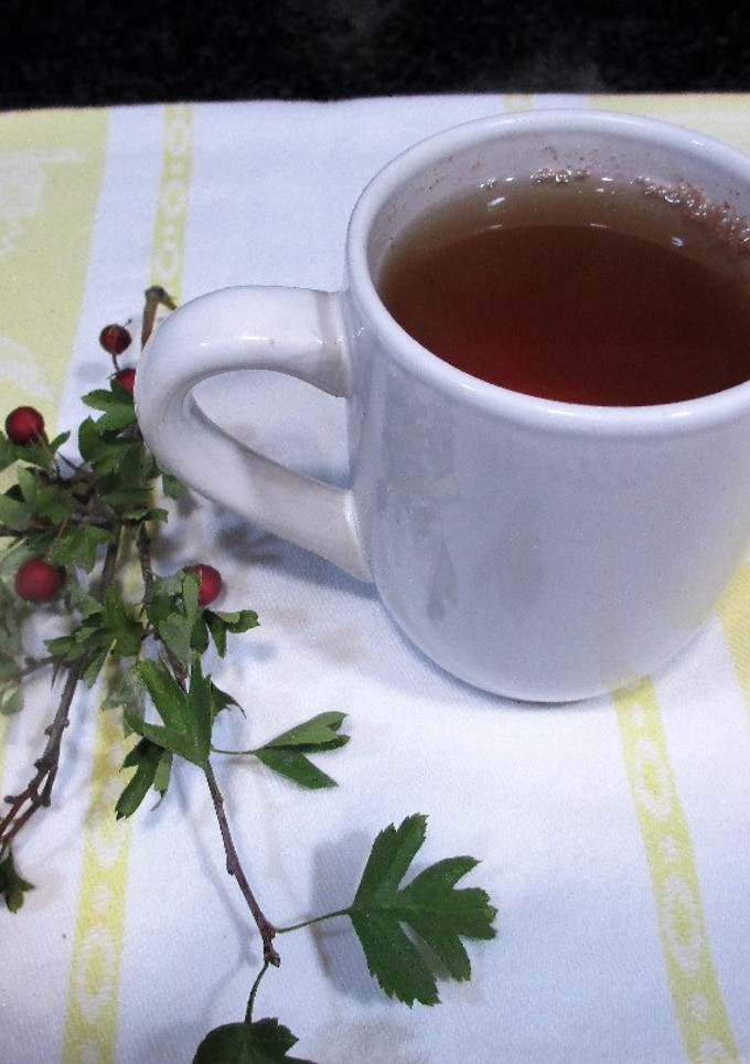 Una foto de Infusión de espino blanco