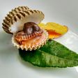 Kerang Dara Nyemek