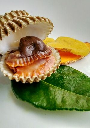 Foto resep Kerang Dara Nyemek