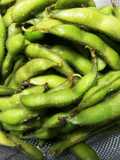 Easy! Delicious Boiled Edamame