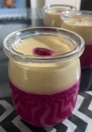 Foto resep Puding Susu Naga