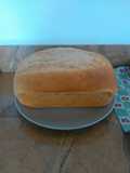 Pan Enriquecido : Pan de Molde y Pan individual