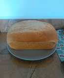 Pan Enriquecido : Pan de Molde y Pan individual