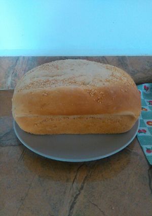 Una foto de Pan Enriquecido : Pan de Molde y Pan individual