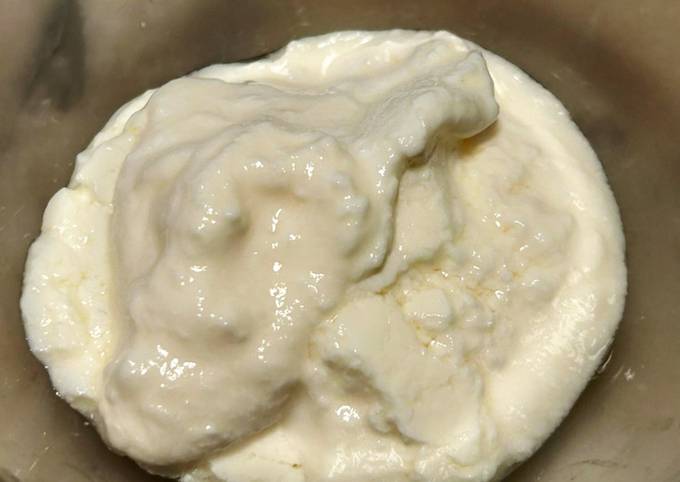 Yogurt greco fatto in casa SENZA yogurtiera con 2 INGREDIENTI