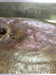 Una foto de Rodaballo al horno