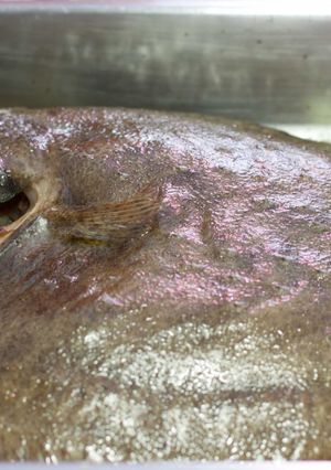 Foto principal de Rodaballo al horno