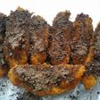 Pisang pasir