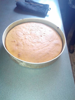 Una foto de Torta Esponjosa