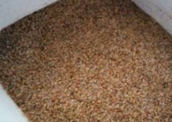 Easy Make Recipe Jamaican Jerk Seasoning Restaurant Style