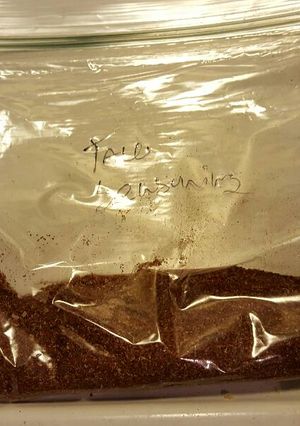 A picture of Taco Seasoning .