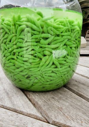 Foto resep Dawet Tepung Beras