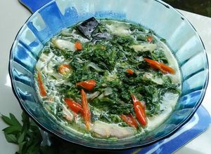 Foto resep 28. Sayur Santan Daun Kenikir