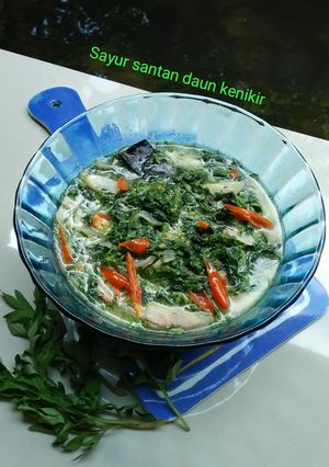Foto resep 28. Sayur Santan Daun Kenikir