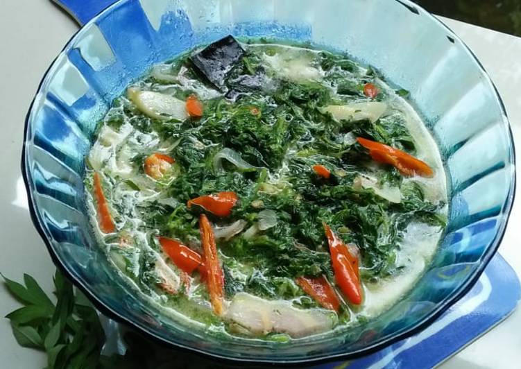 Cara Gampang Membuat Sayur Santan Daun Kenikir yang Lezat